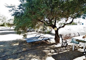 25 m² Studio flat ∙ 1 bedroom ∙ 2 guests in Ferma