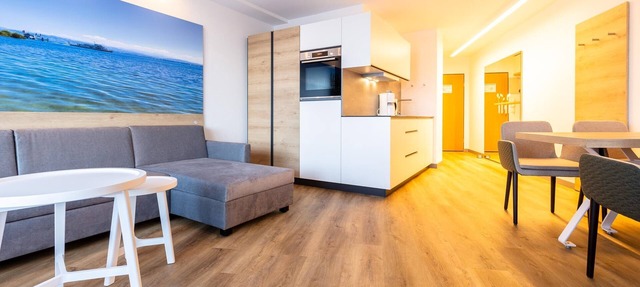 1-Room-Apartment (Type 2) in Immenstaad