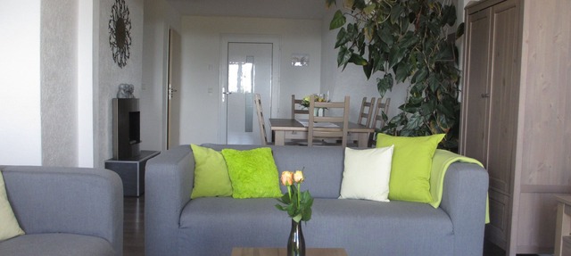2 apartments , new, modern, family-friendly, barrier-free, large south-facing terrace in Ühlingen-Birkendorf