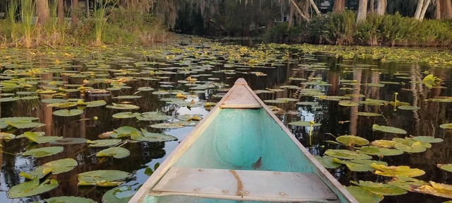2 kitchens, Canoe, kayak on Sunset Lake + 700sqf apt Perfect for family getaways in Odessa