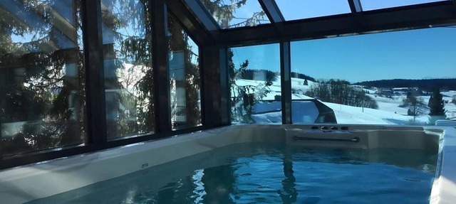 4 Apartments with Spa Area and Mountain Views in Oberibach