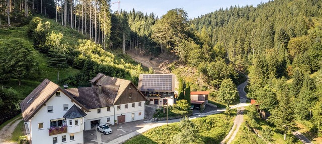 Apartment "Brumichelhof" with Mountain View, Private Terrace & Wi-Fi in Bad Peterstal-Griesbach