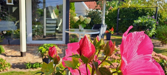 App. Gutmann - APP. Gutmann in Ribnitz-Damgarten