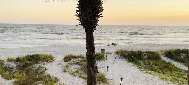 Beachfront "Sealee" Unit # 16 West End Of PCB Beach Right Out Your Back Door! in Panama City Beach