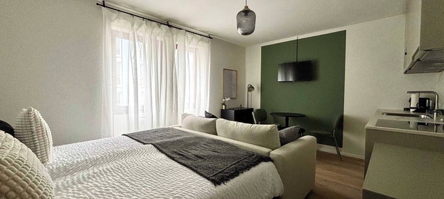 Beautiful Renovated Apartment in Lorrach in Lörrach