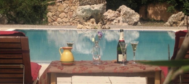 Beautiful villa, exceptional pool, central location for Cannes, Nice, St. Tropez in Saint-Paul-En-Forêt