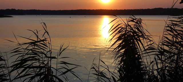 Beautiful vacation accommodation near Lake Tegel in Berlin