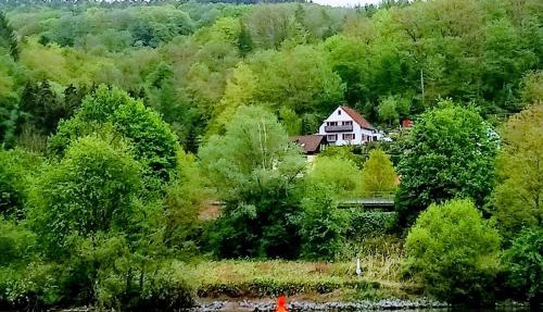 Casa la Collina delle Ginestre in Eberbach
