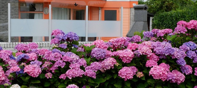 Comfortable,1 level vacation home on North Sea coast, only 300 m from the beach in Julianadorp