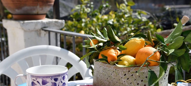 Comfortable bed and breakfast with private Parking in Conca dei Marini