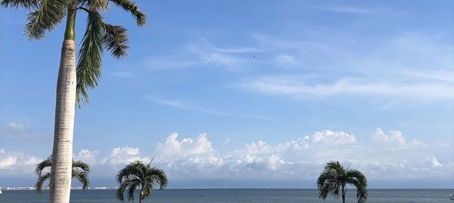 Cozy beachfront studio condo in La Cruz de Huanacaxtle with AC, fitness room in Cruz de Huanacaxtle
