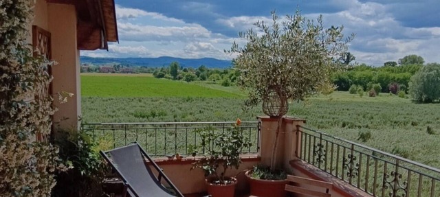 Cozy one-bedroom apartment between town and hills. in Emilia-Romagna