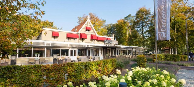 Dennenheuvel in Epe