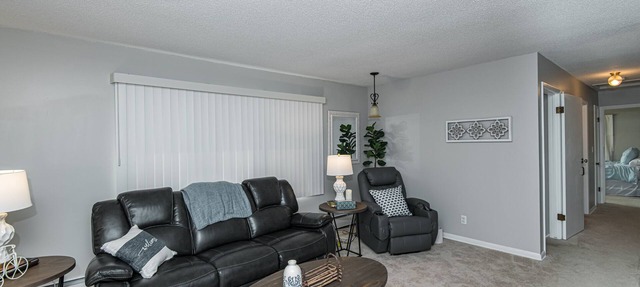 Discounted 5-Star 3 Bedroom Duplex 5 Minutes to Mayo Clinic! in Rochester