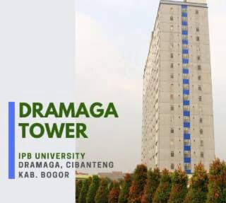 Dramaga Tower Apartement Rendi Room in Bogor