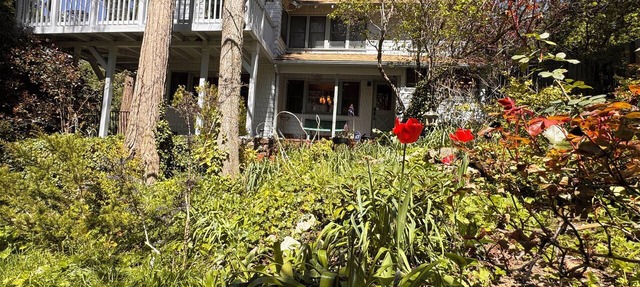 Experience Lake Gregory charm steps away! Four bedroom Crestline cottage awaits. in Crestline
