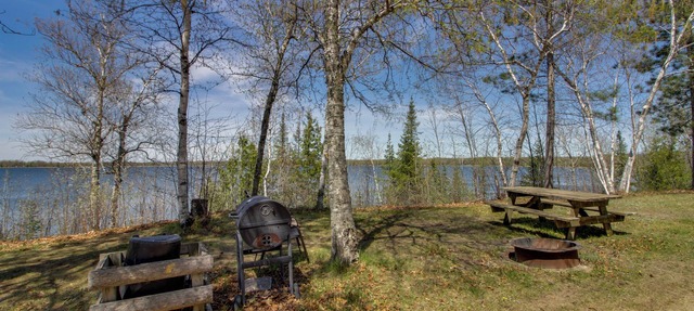 Family Escape on Gull Lake! Dock/Launch Access in Tenstrike