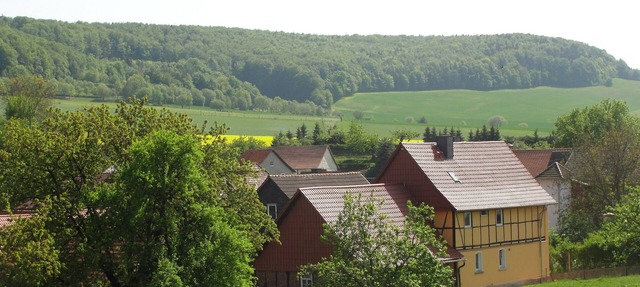 Family-friendly spacious and luxurious detached vacation home for 8 to 9 people in Lenterode