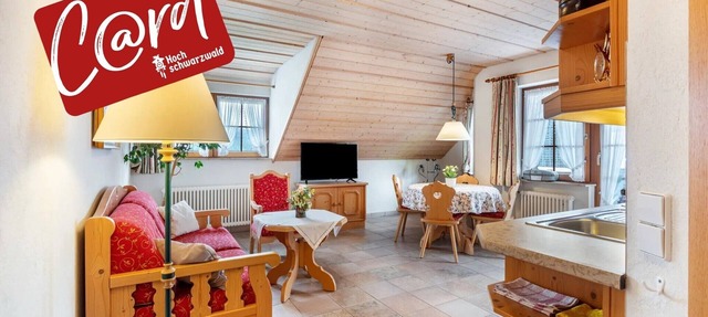 Holiday Apartment 'Type B, 50sqm' with Mountain View, Private Terrace and Wi-Fi in Feldberg (Schwarzwald)