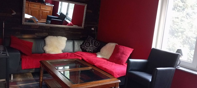 Holiday Home 'Ferienhaus Brückla-Urlaub Zu Zweit' with Shared Pool and Wi-Fi in Hohenleuben