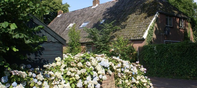 Holiday house Diever for 2 - 12 persons with 5 bedrooms - Twin house in Diever