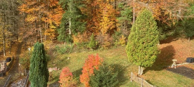 Immensee II Apartment with lake view and located at the forest edge in Ronshausen