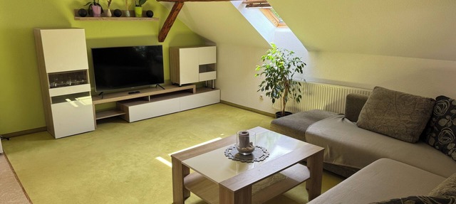 Loft mit Privater Dachterrasse in Gera