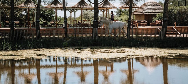 Mas de Dard, an Exceptional Estate in Provence, with a heated pool and a padel court in Saintes-Maries-de-la-Mer
