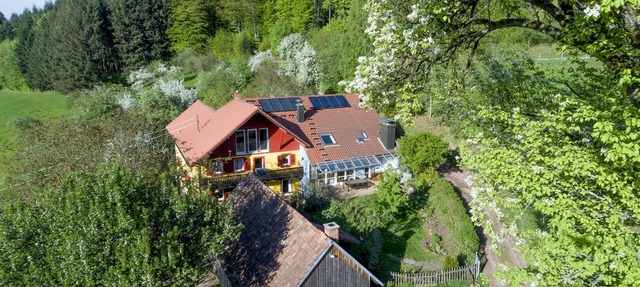 Modern 220 sqm holiday home, terrace, garden, sauna, fireplace in Freiamt