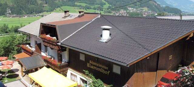 Nice apartment in villa for 7 people with WIFI, TV and terrace in Mitterdorf