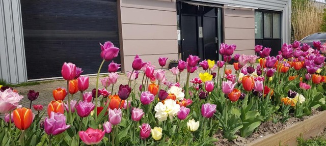 Noordersluis Studio's in Lelystad