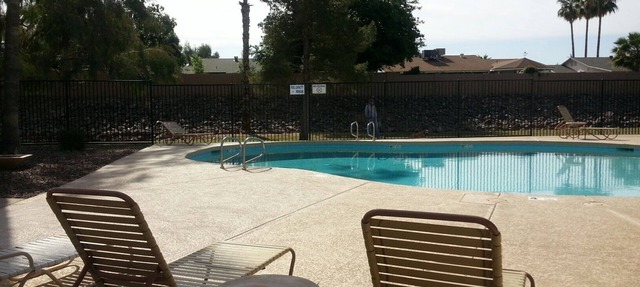 North Central Phoenix - Two Master Stes. 1500 Sf Newly Remodeled, Peaceful! in Phoenix