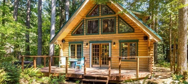 Perfect chalet accommodations tucked into the most wonderful towering trees! in Deming