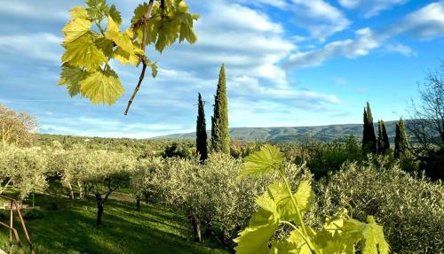 Provence km28 in Gordes