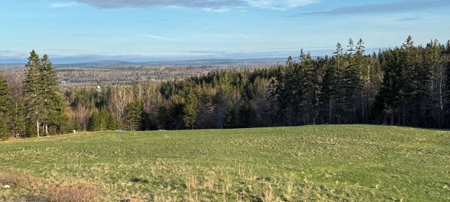 Relaxing 2BR Unit Near Hiking & Scenic Drives Sleeps 5 |Great Cabot Unit 17 in Baddeck