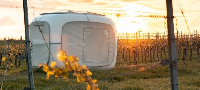 Romantik zwischen Weinreben - Cube in Roemerberg