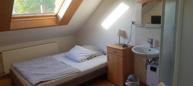 Schwalbennest in Mainz