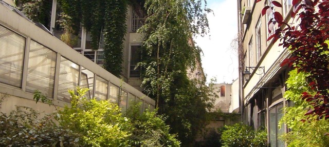 Small studio in private green alley in the heart of Paris in Paris