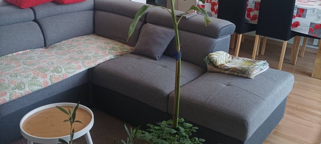 Spacious, fully-equipped apartment 5 minutes from the center and château of Compiègne in Compiègne