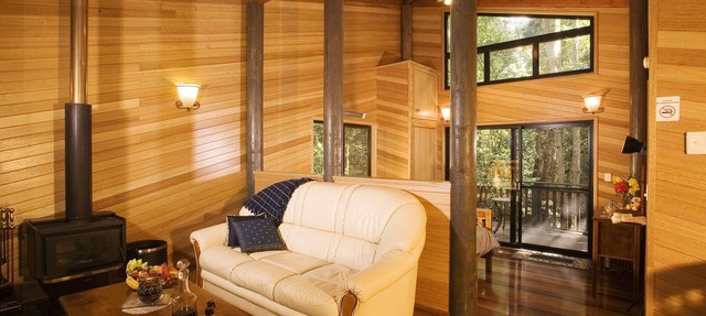 Springbrook Lyrebird Retreat in Springbrook