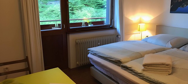 Studio '4' with Shared Terrace, Balcony and Wi-Fi in Dachsberg (Südschwarzwald)