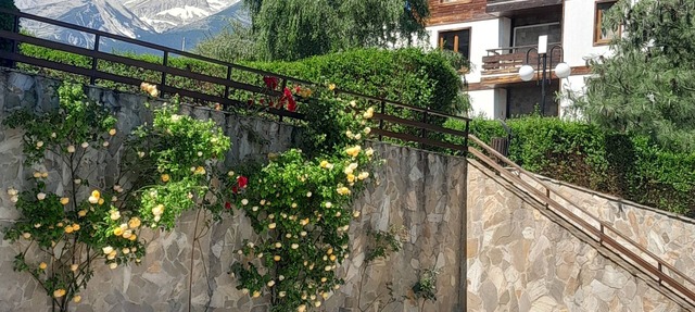 Studio for 2 in Green Life ResortKitchenette,balcony,spa,pools.Ski summer stays in Bansko