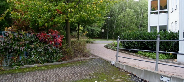 The spacious apartment with plenty of space and comfort at the edge of the forest in Weimar