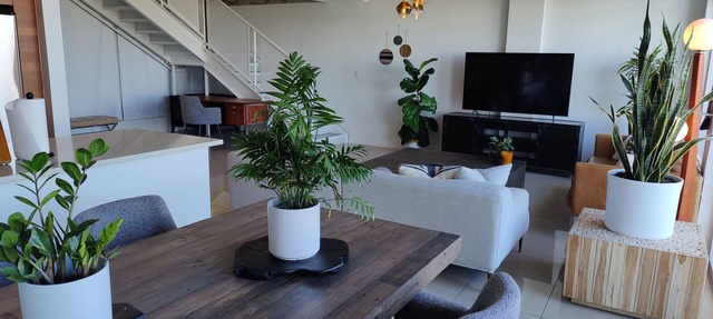 Tulum Vibes Midtown. 2BED 2.5BATH Free Parking Spot in Miami