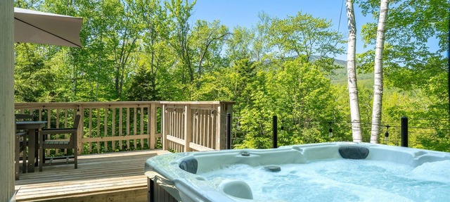 Vermont Charm: A/C, Hot Tub, Epic Stratton Mountain Views in Winhall