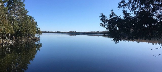 Very Private cabin on Eagles Nest Lake 3 in Ely