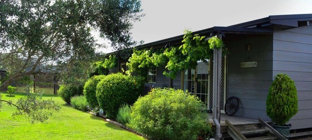 Wirral Grange Vineyard & Cottage in Lovedale