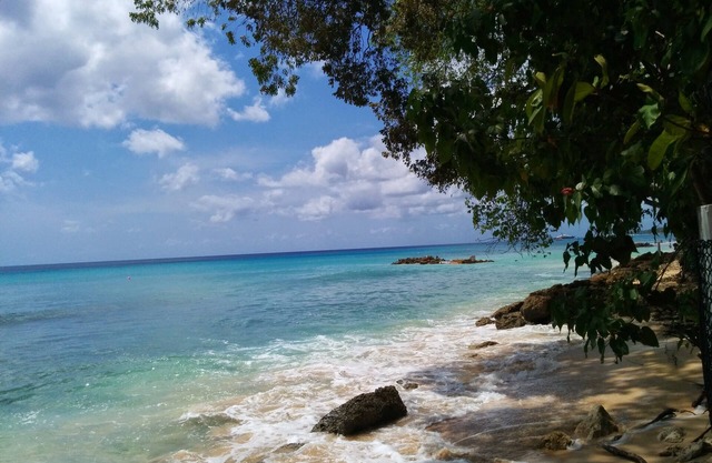 The Beach 