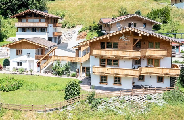 Alpensteinbock Saalbach 