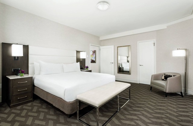 Spacious Downtown Room Close to Public Transports | Pets Are Allowed in Boston